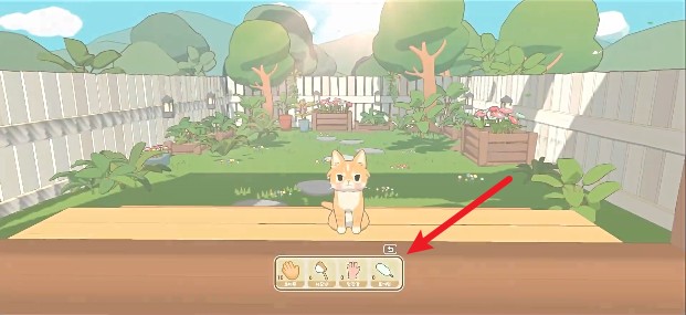 窗外的猫