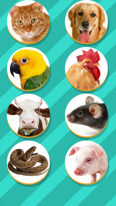 Pet Translator正版动物选择