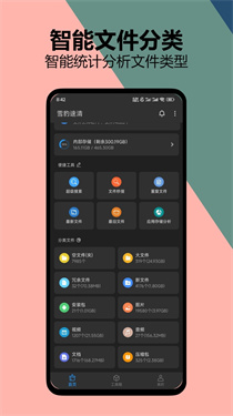 雪豹速清官网版4