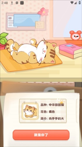 桌面喵安卓版