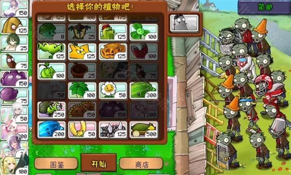 搭配植物阵容