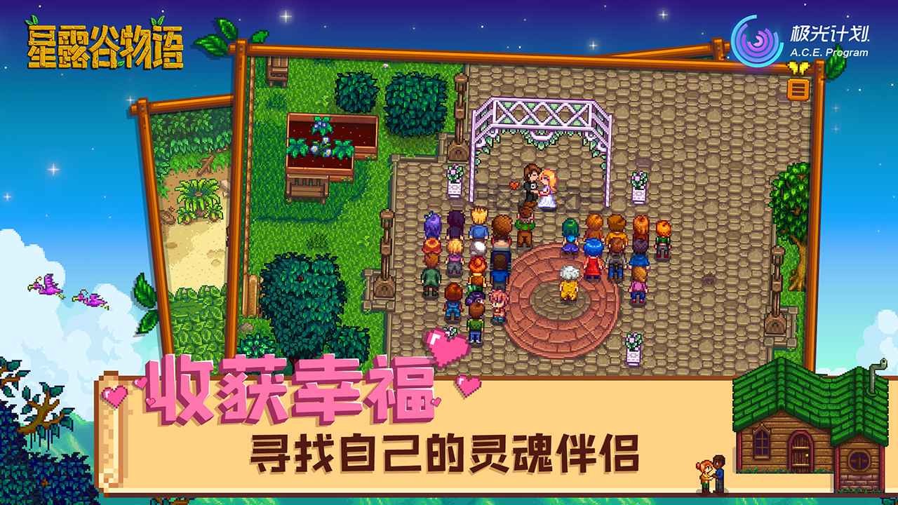 星露谷物语mod版4