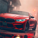 Driving School sim中文版