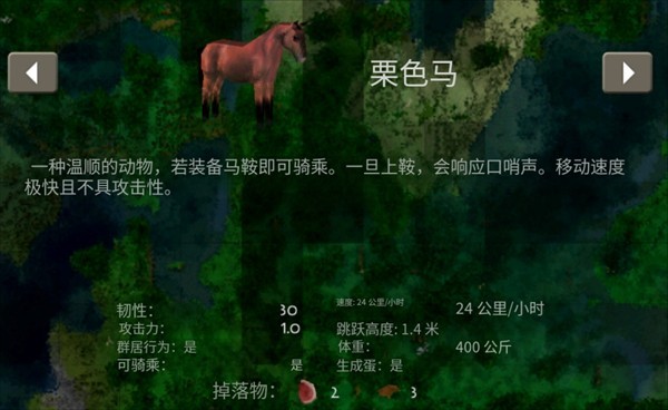 生存战争