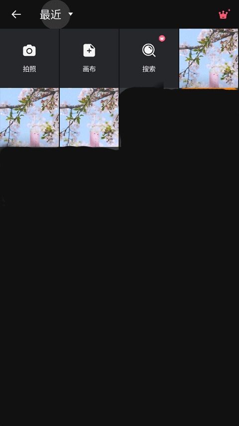 专业照片编辑器最新版