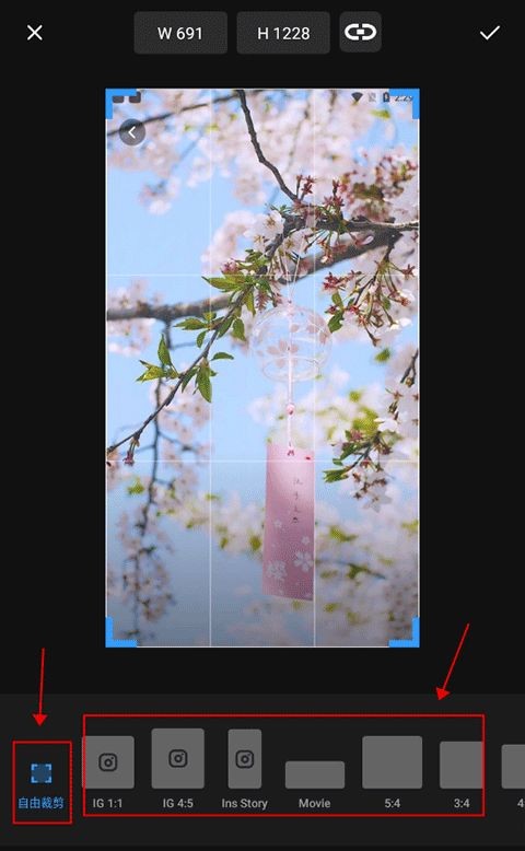 专业照片编辑器最新版