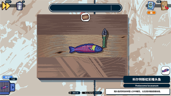 深海刮刮乐2