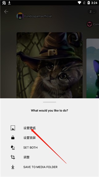 zedge壁纸2026