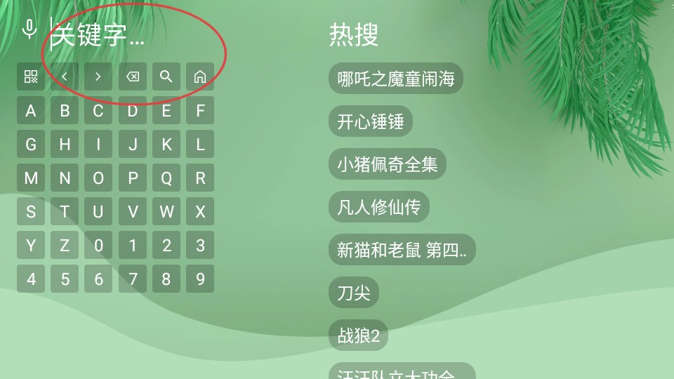 流年影视tv版