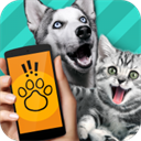 Pet Translator正版
