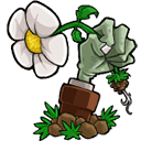 植物大战僵尸重植版手机版
