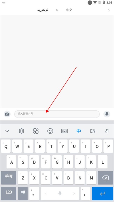 输入翻译内容
