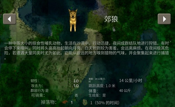 生存战争