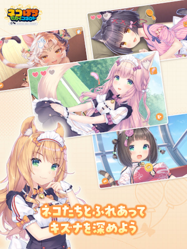 猫娘乐园世界连结官网版2