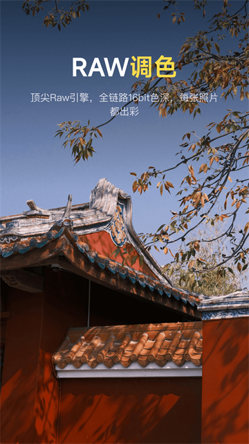 像素蛋糕20264